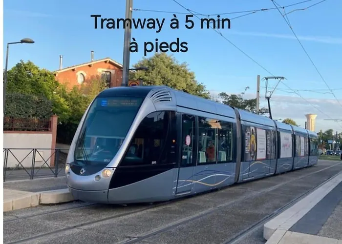 Nuit Romantique Detente Et Toulouse * ブラニャック